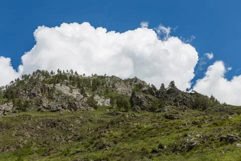 Mountain landscape in the valley of the confluence of the Katun and Maly Yalo Stock Photos