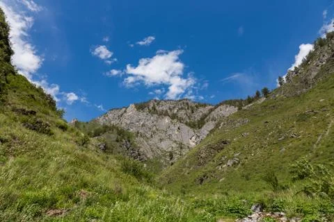 Mountain landscape in the valley of the confluence of the Katun and Maly Yalo Stock Photos