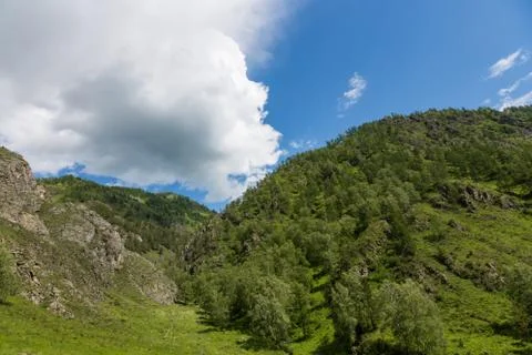 Mountain landscape in the valley of the confluence of the Katun and Maly Yalo Stock Photos