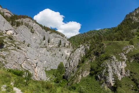 Mountain landscape in the valley of the confluence of the Katun and Maly Yalo Stock Photos