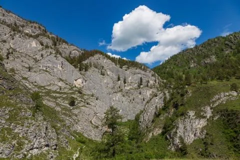 Mountain landscape in the valley of the confluence of the Katun and Maly Yalo Stock Photos