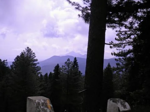 Mountain landscape view from a cliff, under the pine trees Stock Photos