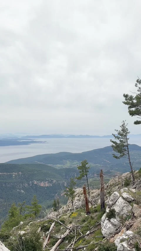 Mountain landscape view with clouds and pine trees overlooking valley and sea Stock Footage 332817020