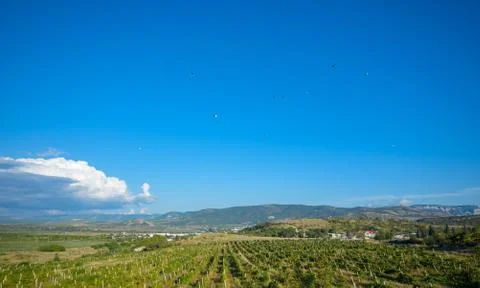 Mountain landscape, view from a height Stock-Fotos