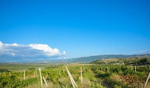 Mountain landscape, view from a height Stock-Fotos