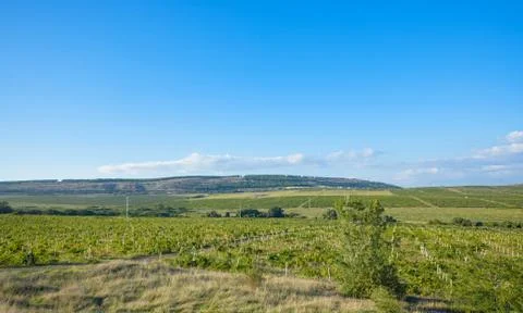 Mountain landscape, view from a height Stock Photos