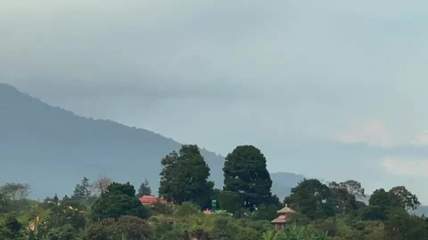 Mountain landscape view with lush green trees under an overcast sky Video stock 341897214