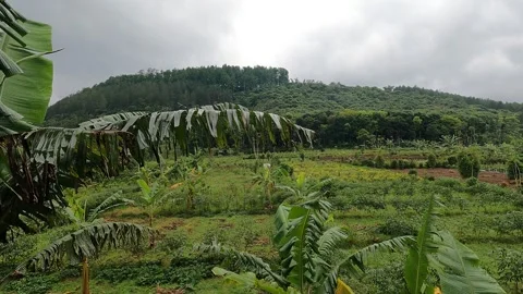 Mountain Landscape View of Mount Sumbing – Central Java, Indonesia Stock Footage 320853188