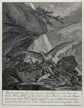 A mountain landscape with a vulture hovering over its prey, a chamois buck... Stock Illustration