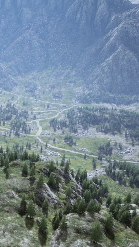 Mountain landscape with winding paths and green trees in the valley Stock Footage 339410630