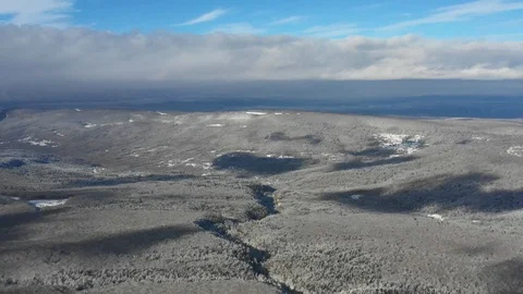 Mountain landscape on a winter day, view of a snowy forest from a height Stock Footage 116786384
