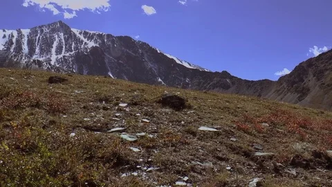 Mountain landscapes. "Alpine" meadows. Stock Footage 73115718