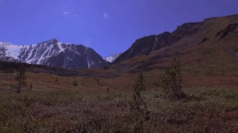 Mountain landscapes. "Alpine" meadows. Stock Footage 73702572