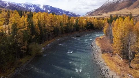 Mountain landscapes overlooking a mountain river. Stock Footage 220034425