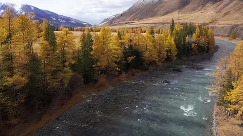 Mountain landscapes overlooking a mountain river. Stock Footage 220034437