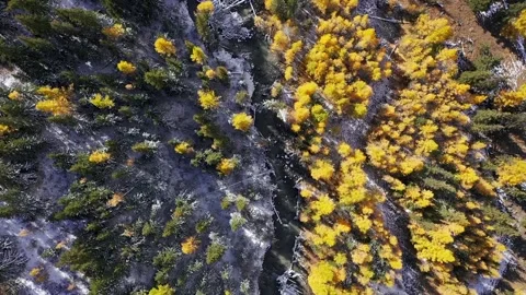 Mountain landscapes overlooking a mountain river. Stock Footage 220034463