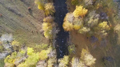 Mountain landscapes overlooking a mountain river. Stock Footage 220034548