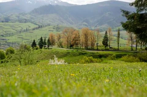 Mountain lawns Stock Photos
