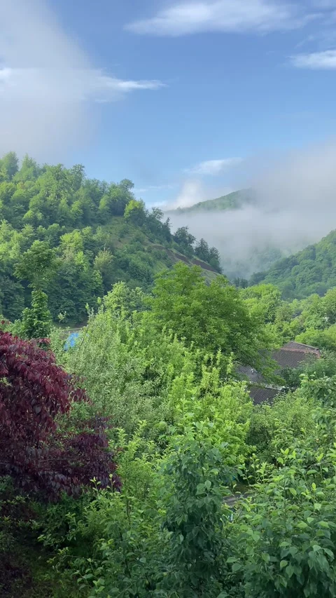 Mountain in Lerik Stock Footage 330169596