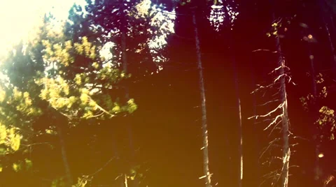 Mountain lift Stock Footage 32350879