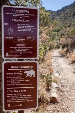 Mountain Lion Warning 写真素材