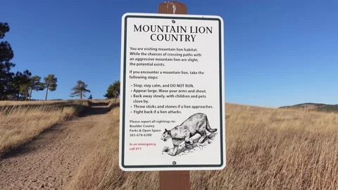 Mountain lion warning sign on a hiking t... | Stock Video | Pond5