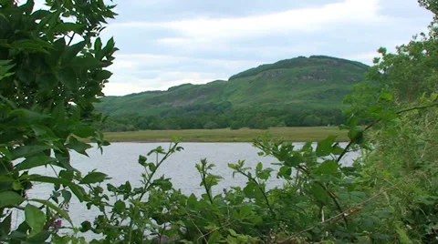 Mountain with a loch in front of it, framed by wind shaken tree branches Stock Footage 39614376