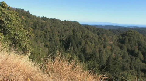 Mountain Lookout Pan Video stock 612375