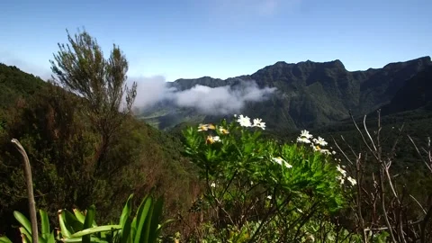 Mountain of Madeira Stock Footage 142129978
