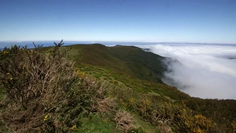 Mountain in Madeira Stock Footage 142130202