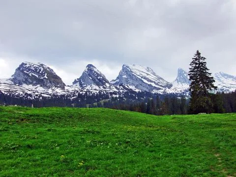 Mountain massive Churfirsten, between river valleys Thurtal and Seeztal Stock Photos