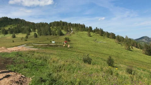 A mountain meadow 3 Stock Footage 92847560