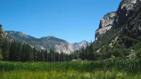 Mountain Meadow Blowing In The Breeze Stock Footage 108406466