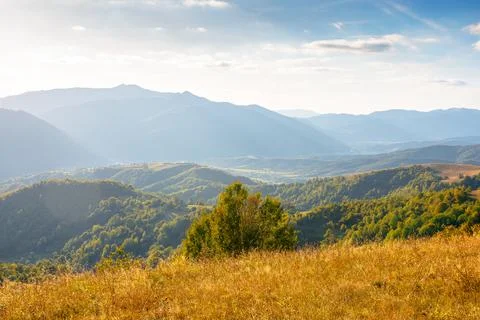 Mountain meadow in evening light Stock Photos