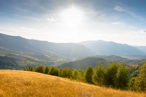 Mountain meadow in evening light Stock Photos