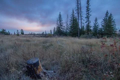Mountain meadow in evening Stock Photos