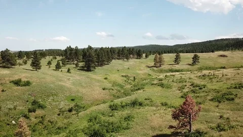 Mountain meadow flight over rolling South Dakota hills. Stock-Footage 91902658
