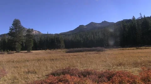 Mountain meadow Video stock 42464112