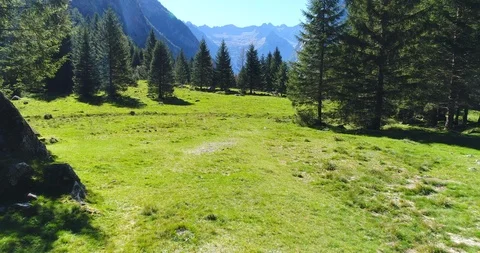 Mountain meadow Stock Footage 95939854