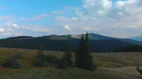 Mountain meadow Stock Footage 157856787