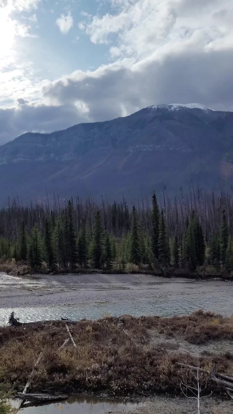 Mountain Meadow 動画素材 267038722