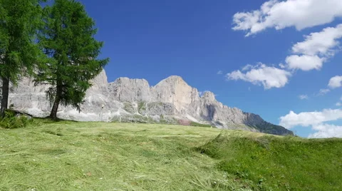 Mountain meadow with freshly cutted grass Stock Footage 64742953