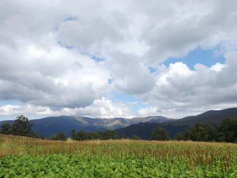 Mountain Meadow Green Grass Cloudy Sky Hills Photos