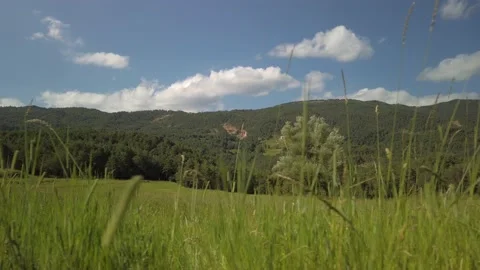 Mountain meadow  landscape at summer Stock Footage 134764568