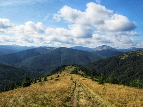 Mountain Meadow Path Stock Photos