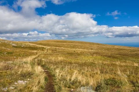Mountain meadow Stock Photos