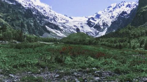 Mountain meadow Stock Photos