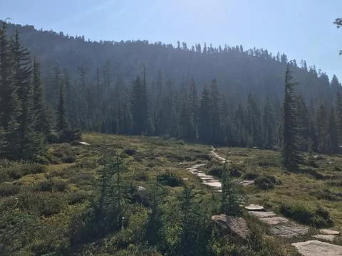 Mountain Meadow Stock Photos