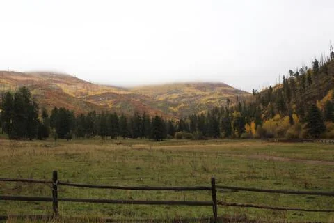 Mountain meadow Stock Photos