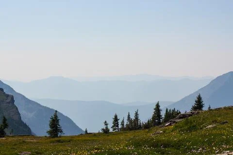 Mountain Meadow Stock Photos